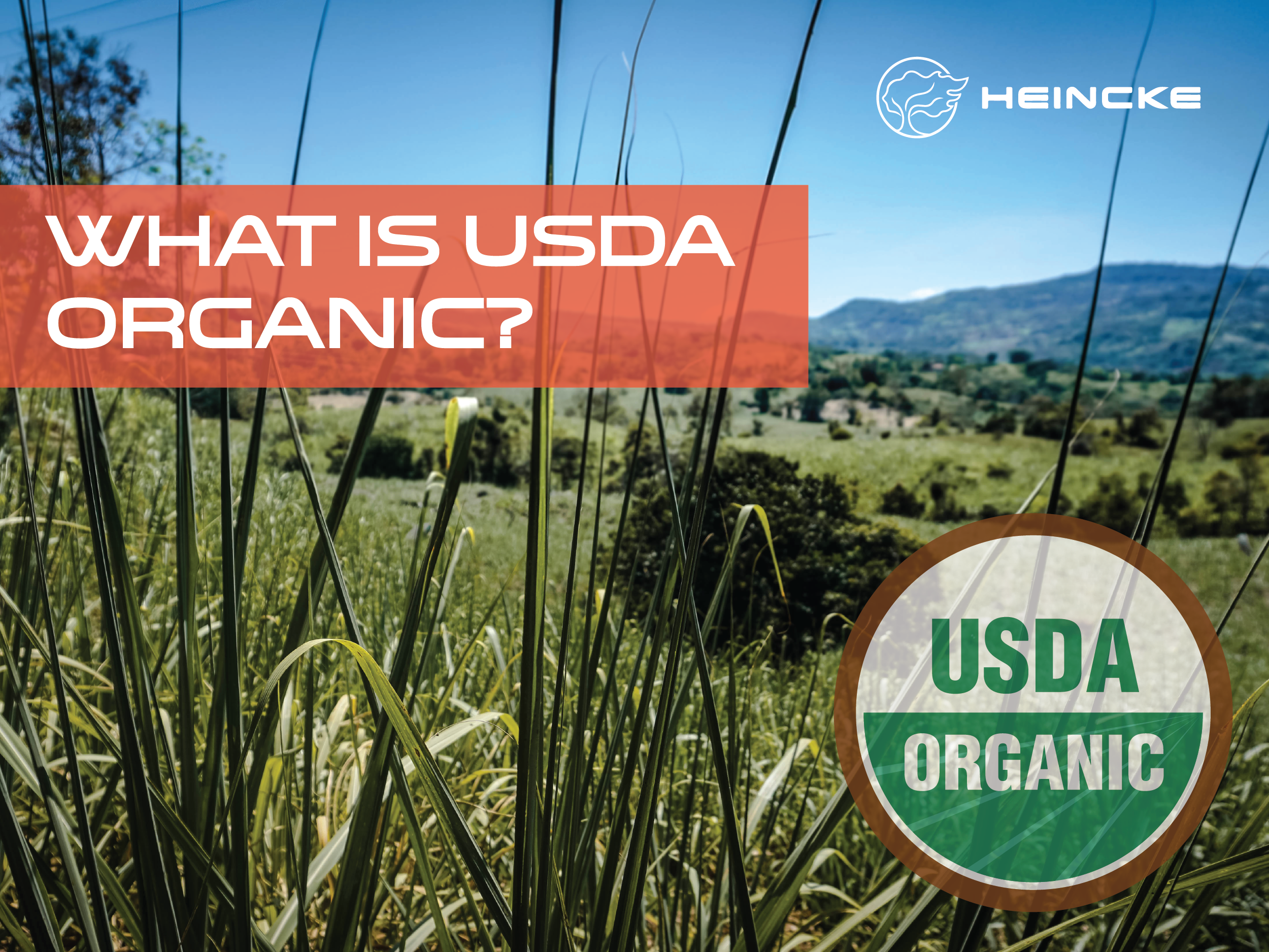 What is USDA Organic?