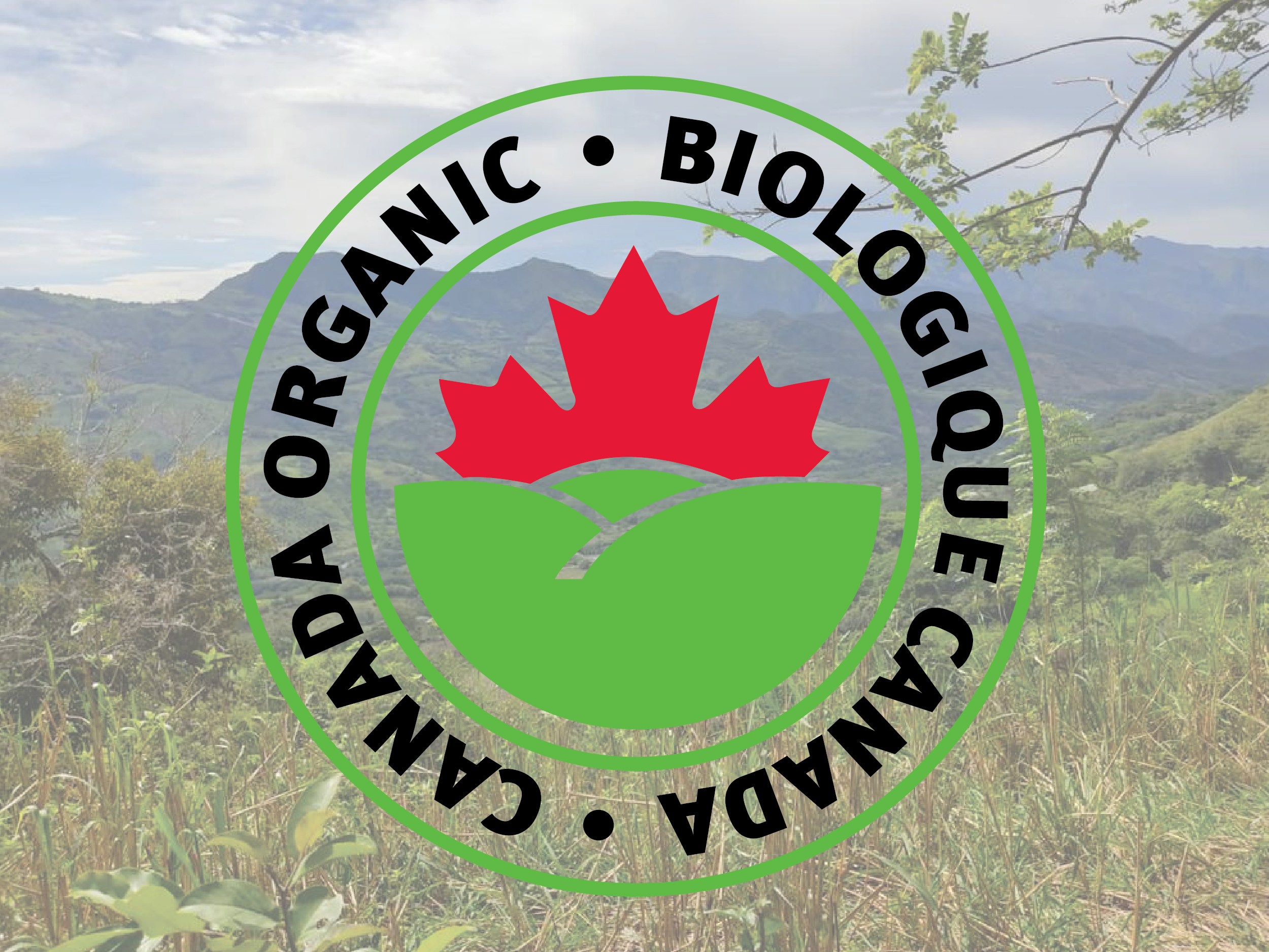 Do you know the Canada Organic Certification?